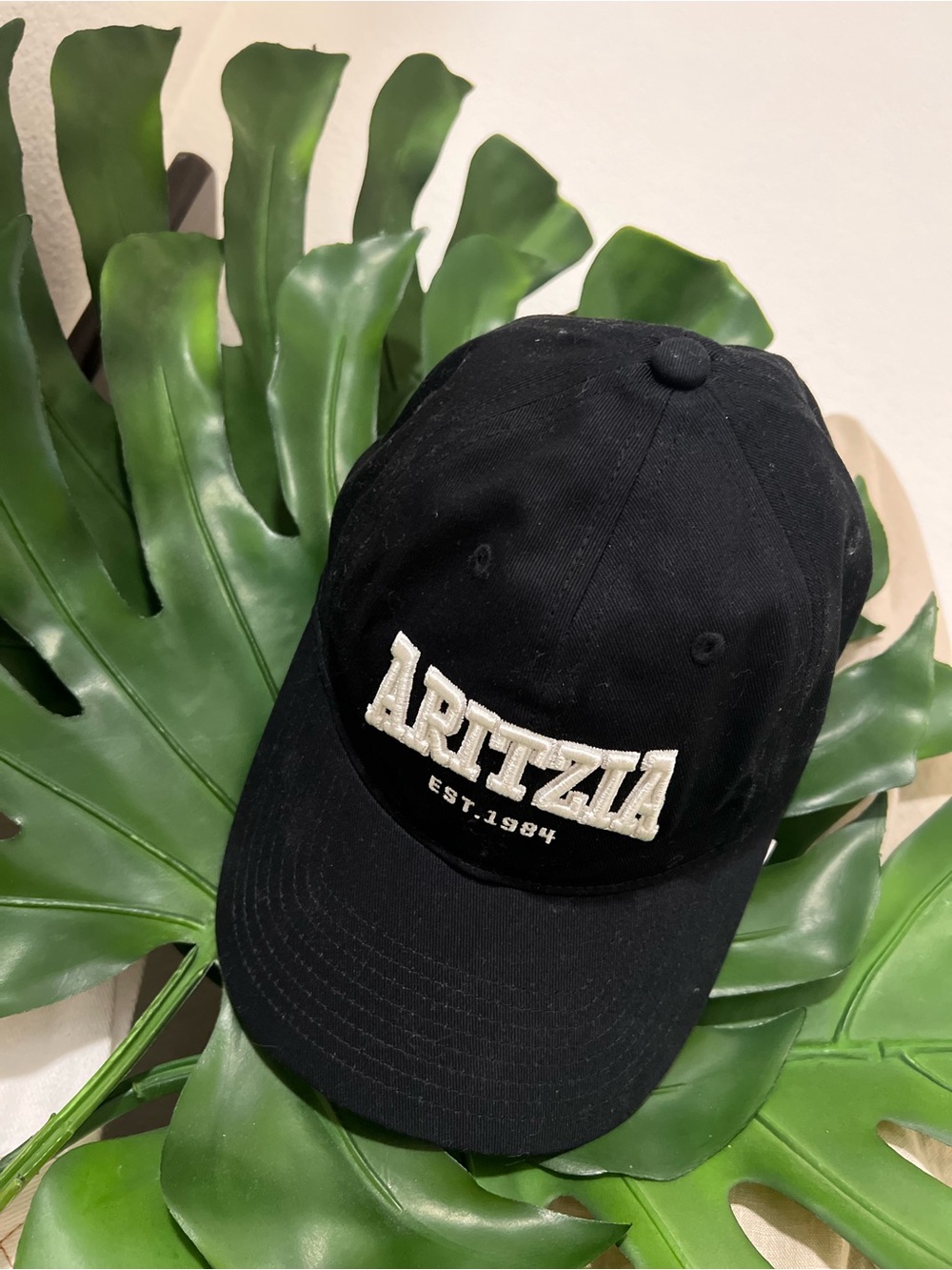 ARITZIA 100% Cotton Celcius Baseball Hat
SOLD OUT ONLINE‼️